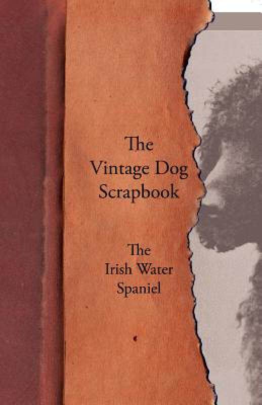 【预售】The Vintage Dog Scrapbook - The Irish Water Spaniel