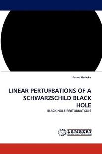 Perturbations Black Linear Schwarzschild Hole 预售