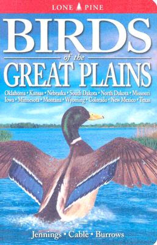 【预售】birds of the great plains