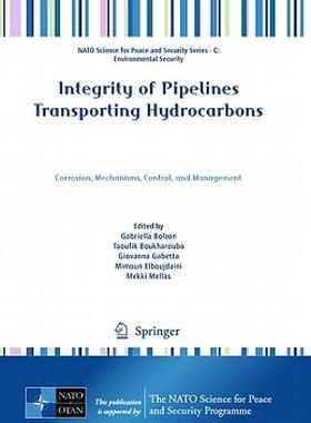 【预售】Integrity of Pipelines Transporting Hydrocarbons: