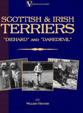 【预售】Scottish Terriers and Irish Terriers - Scottie