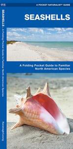 【预售】Seashells: A Folding Pocket Guide to Familiar North