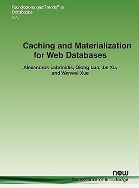 【预售】Caching and Materialization for Web Databases