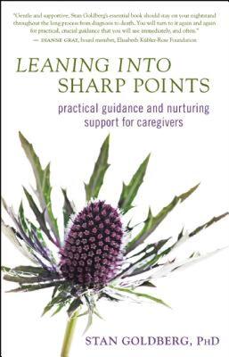 【预售】Leaning Into Sharp Points: Practical Guidance and
