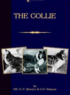 【预售】The Collie