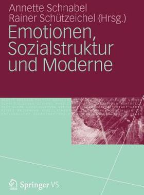 【预售】Emotionen, Sozialstruktur Und Moderne