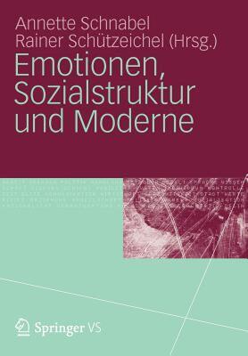 【预售】Emotionen, Sozialstruktur Und Moderne