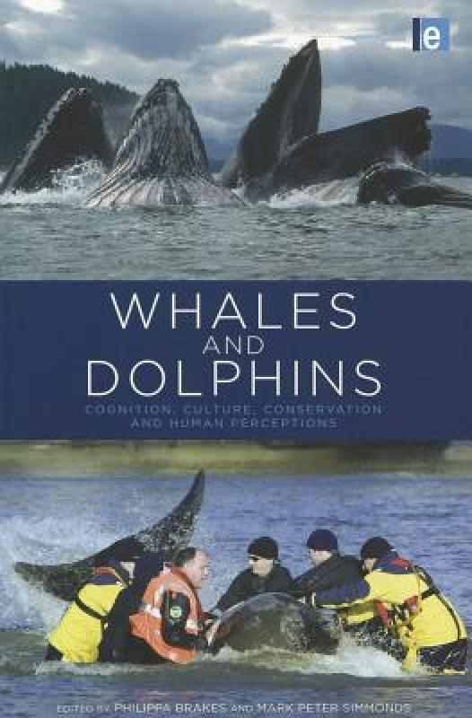 美国库房发货，通常付款后5-8周到货！