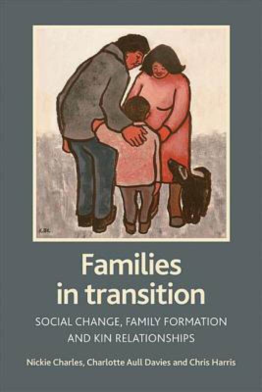 【预售】Families in Transition: Social Change, Family