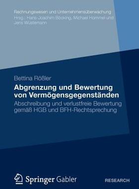 【预售】Abgrenzung Und Bewertung Von Vermogensgegenstanden: