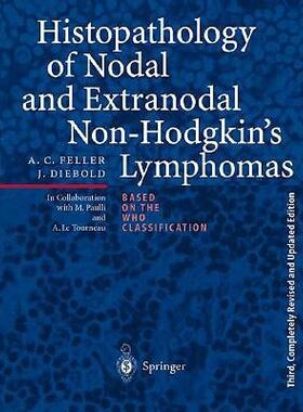 【预售】Histopathology of Nodal and Extranodal Non-Hodgkin S