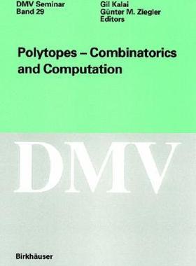【预售】Polytopes Combinations and Computation