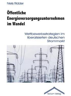 【预售】Ffentliche Energieversorgungsunternehmen Im Wandel