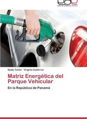 【预售】Matriz Energetica del Parque Vehicular