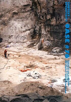 【预售】Oase 76: Context-Specificity