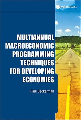 【预售】Multiannual Macroeconomic Programming Techniques for