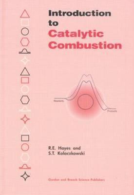 【预售】Introduction to Catalytic Combustion