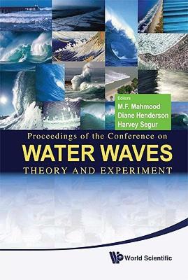 【预售】Proceedings of the Conference on Water Waves: Theory