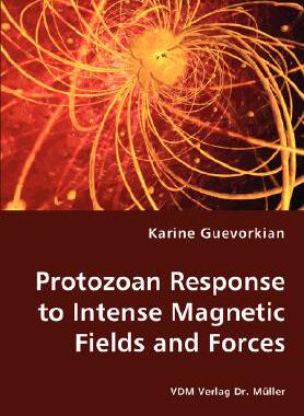 【预售】Protozoan Response to Intense Magnetic Fields and