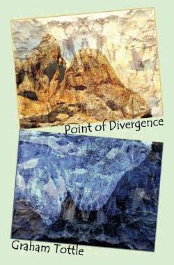 【预售】Point of Divergence