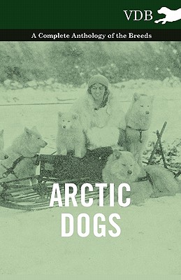 美国库房发货，通常付款后5-8周到货！