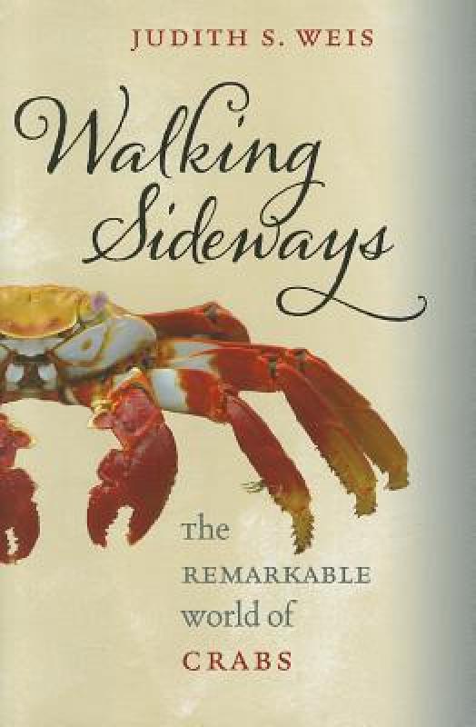 美国库房发货，通常付款后5-8周到货！