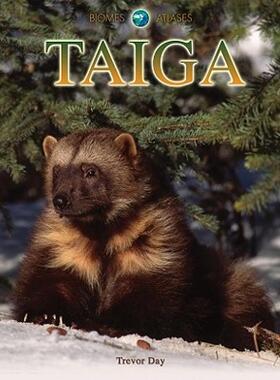 【预售】Taiga