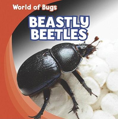 【预售】Beastly Beetles