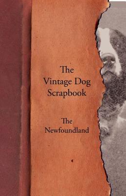 【预售】The Vintage Dog Scrapbook - The Newfoundland