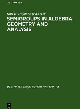【预售】Semigroups in Algebra, Geometry and Analysis