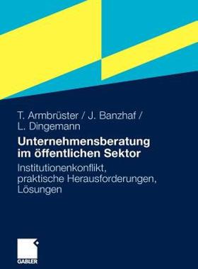 【预售】Unternehmensberatung Im Offentlichen Sektor: