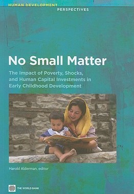 【预售】No Small Matter: The Impact of Poverty, Shocks, and