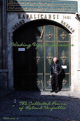 【预售】Waking Up in Dreams