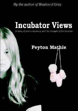 【预售】Incubator Views: A Story of Teen Pregnancy and the