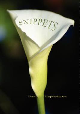 【预售】Snippets