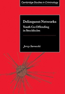 【预售】Delinquent Networks: Youth Co-Offending in