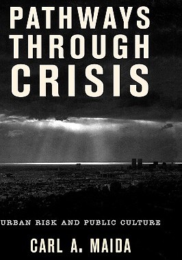 【预售】Pathways Through Crisis: Urban Risk and Public