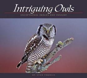 【预售】Intriguing Owls: Extraordinary Images and Insight