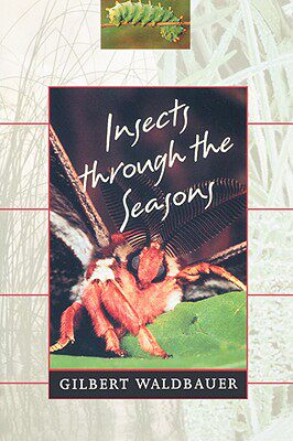 【预售】Insects Through the Seasons