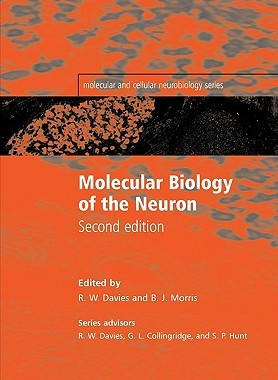 【预售】Molecular Biology of the Neuron