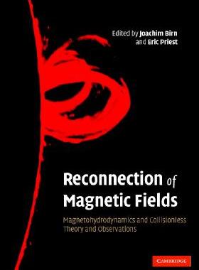 【预售】Reconnection of Magnetic Fields: