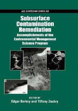 【预售】Subsurface Contamination Remediation: