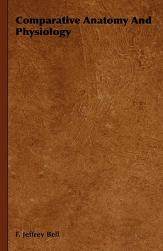 美国库房发货，通常付款后5-8周到货！