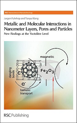 【预售】Metallic and Molecular Interactions in Nanometer