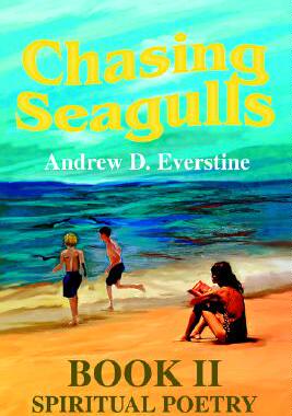 【预售】Chasing Seagulls: Book II