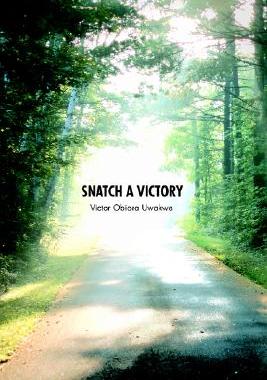 【预售】Snatch a Victory
