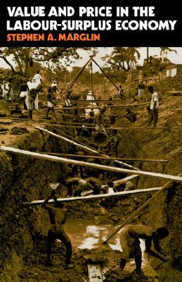 【预售】Value & Price in the Labour Surplus Economy