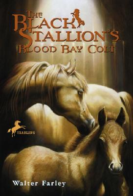 【预售】The Black Stallion's Blood Bay Colt: (Reissue)