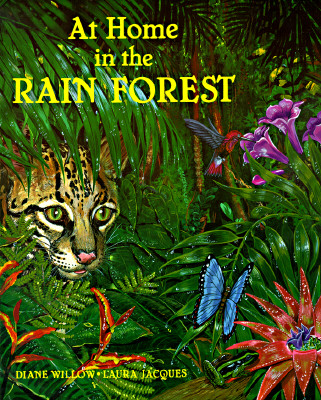 【预售】At Home in the Rain Forrest