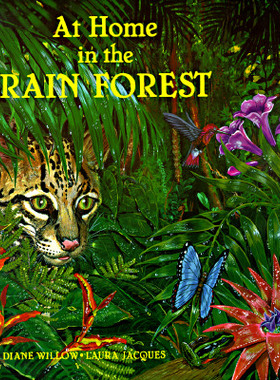 现货 At Home in the Rain Forrest